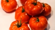 Gastronomie Tomates